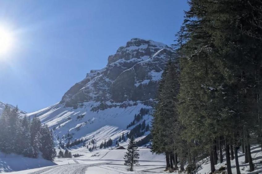 Cozy Accomodation Retreat for Families - foto 51