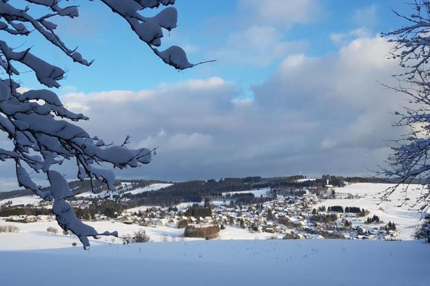 im Thüringer Wald mit Grill und Garten - foto 18