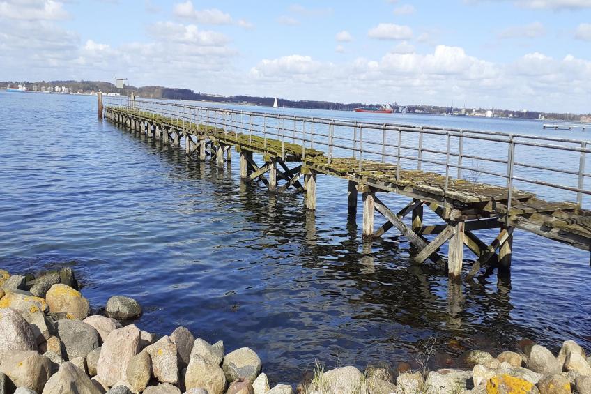 Single Room - Land Side Thor Heyerdahl - foto 31