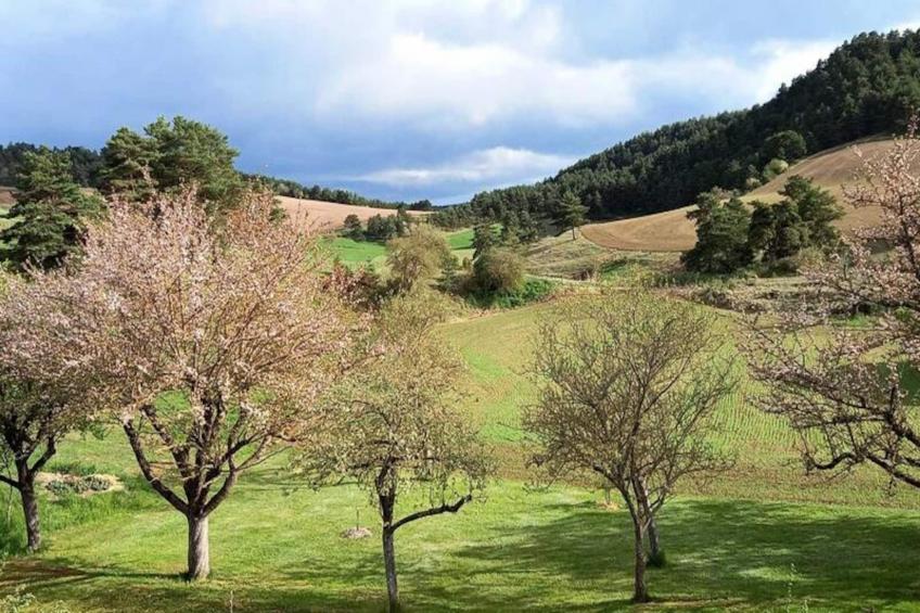 Gîte de France La maison de marie 6/8 personnes 3 épis - foto 55