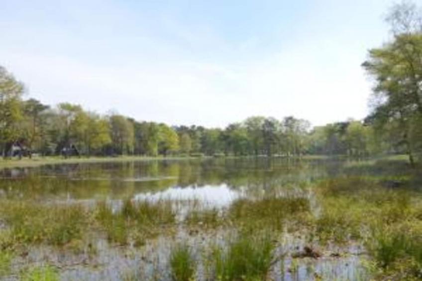 Bungalow 87 - foto 26