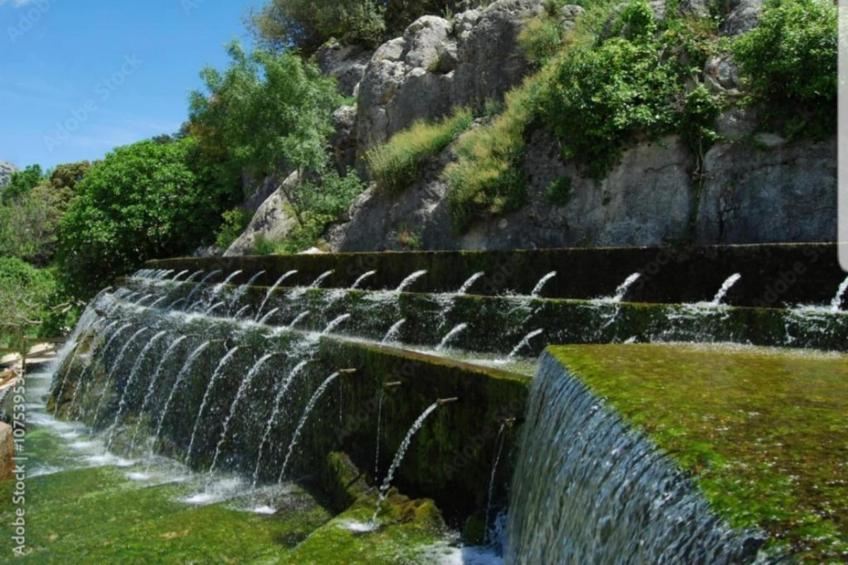 Cortijo Los Alazores - foto 33