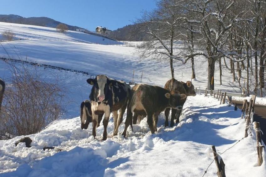 Berghütte mit Wasserblick - foto 21