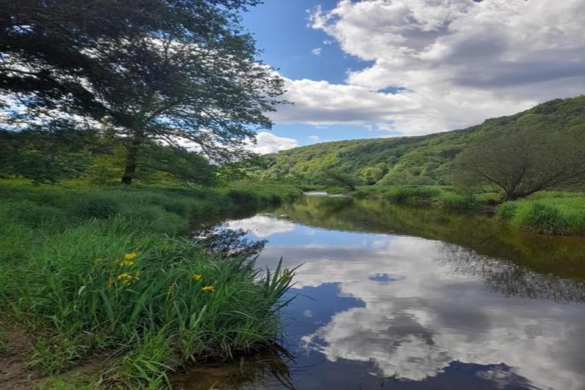 Leora Cocoon - foto 35