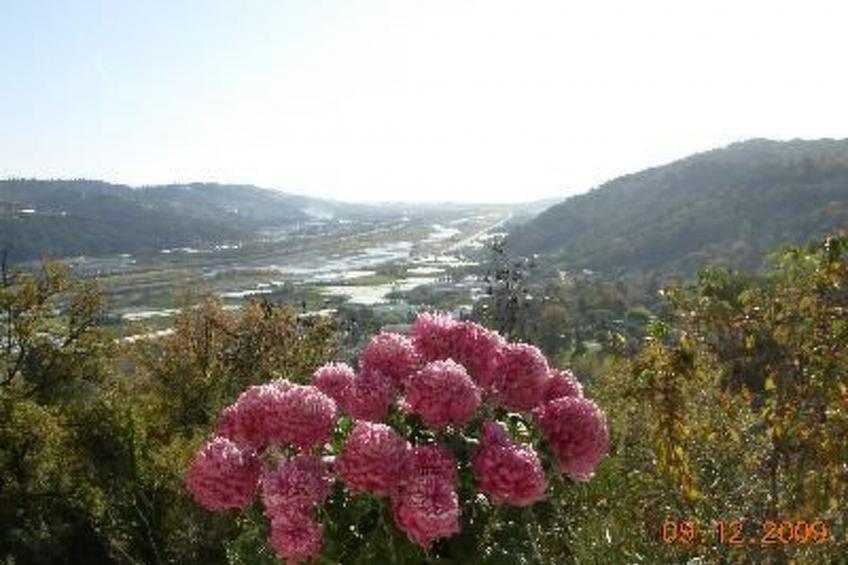 "Rocabel" mit Blick auf das Wasser - foto 43