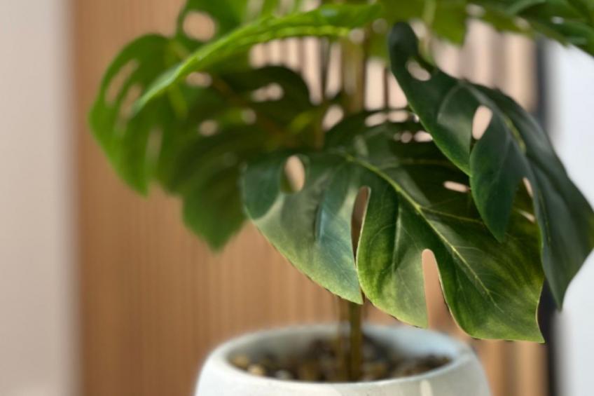 The Home Comfort You Need in London - foto 15