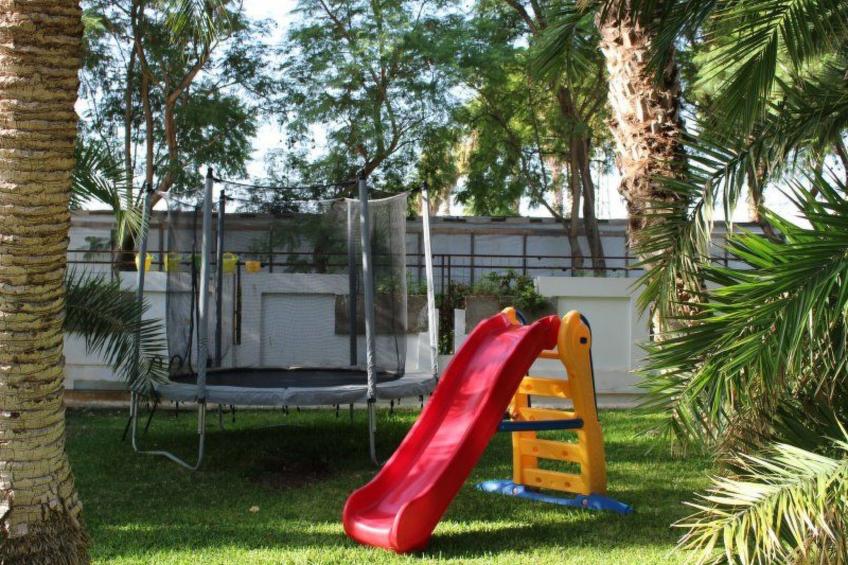 Cuore di Palme Bilo - foto 11