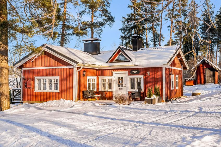 Punatulkku, seeteri - foto 6
