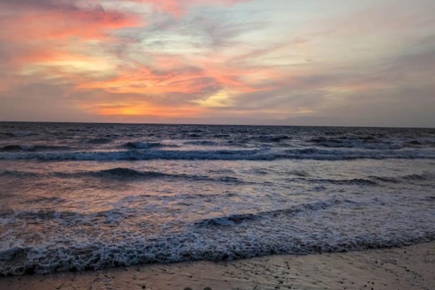 Villa Corée - Domaine Le Sherwood - foto 6