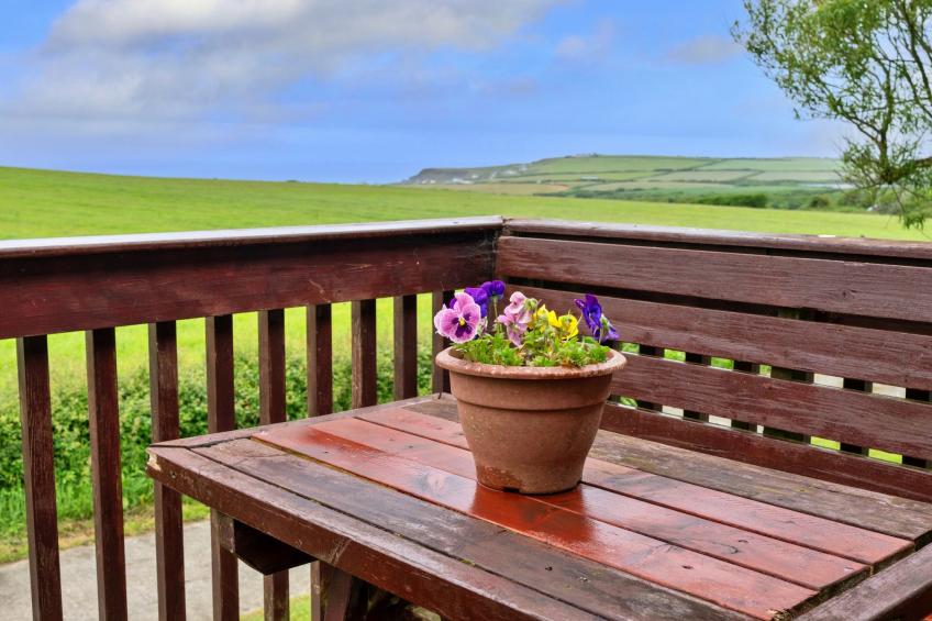 Squire, Quinceborough Farm - foto 19