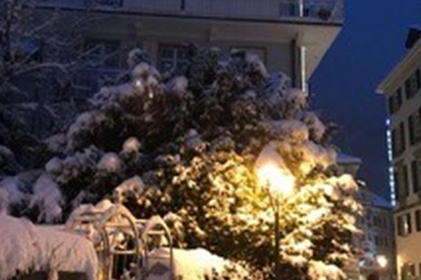 St. Gallerhof Apartment, (Bad Ragaz). 2-Zimmerwohnung mit 3 Balkonen - foto 8
