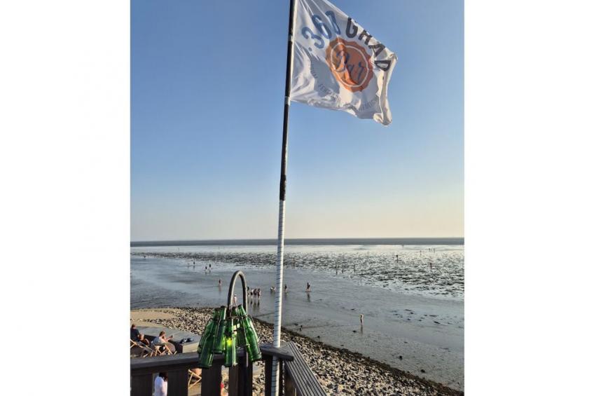 753807 - foto 29