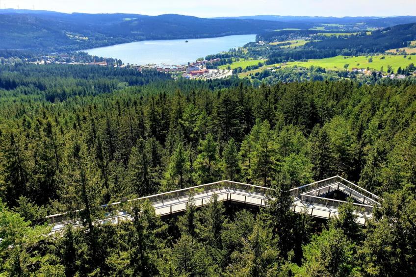 Residence Lipno - foto 18