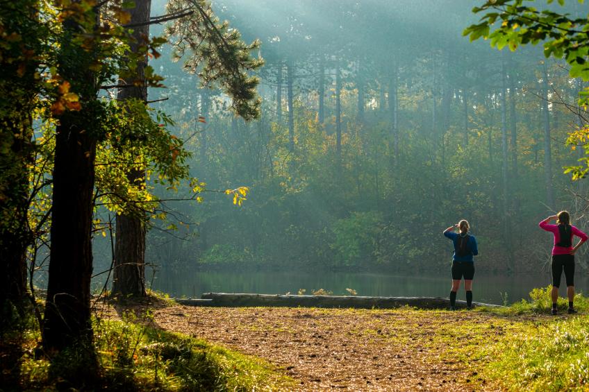 Chalet - Camping de Duinhoeve 'Bosdier' - foto 83