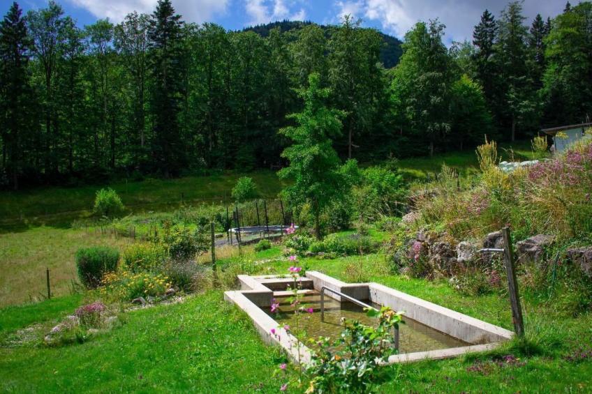 Berghof Montpelon - foto 5