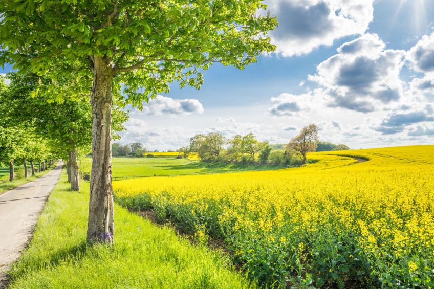 hey Beachvilla - foto 38