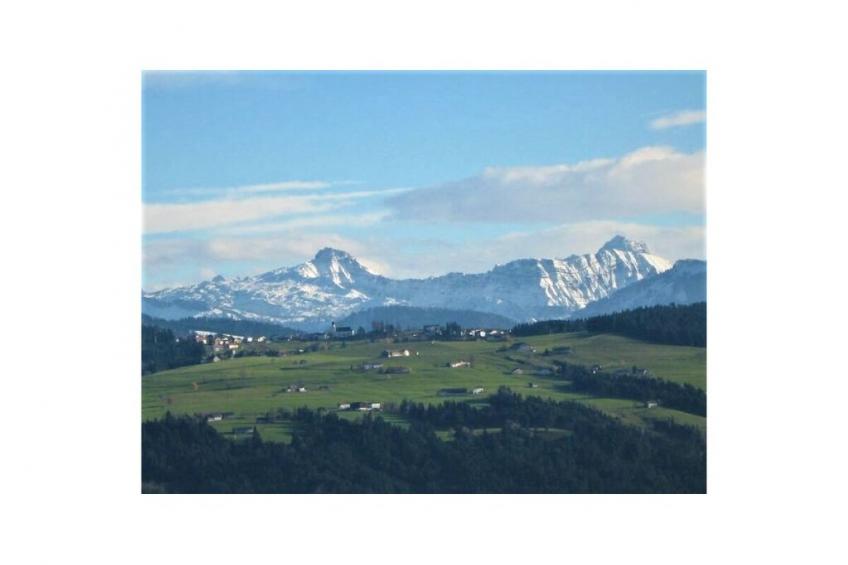 16720 - foto 4