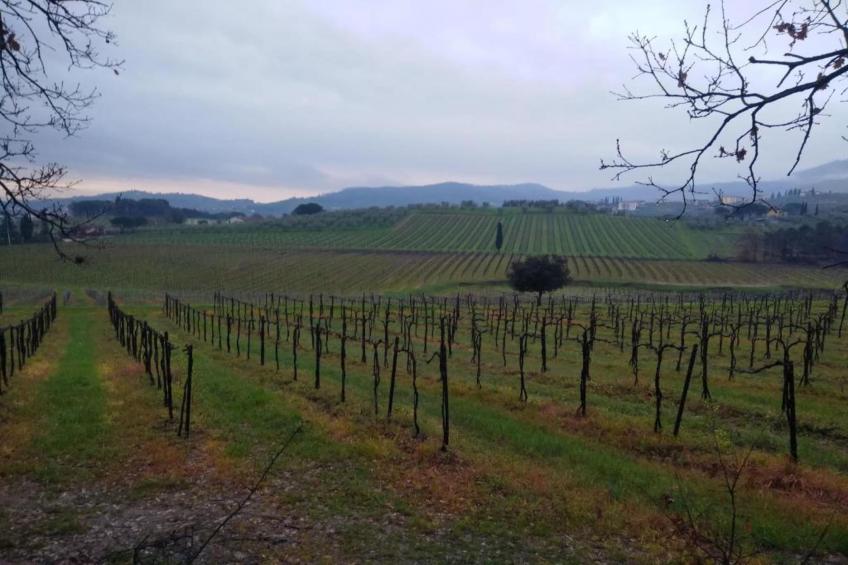 Saliceto Bilocale - foto 15