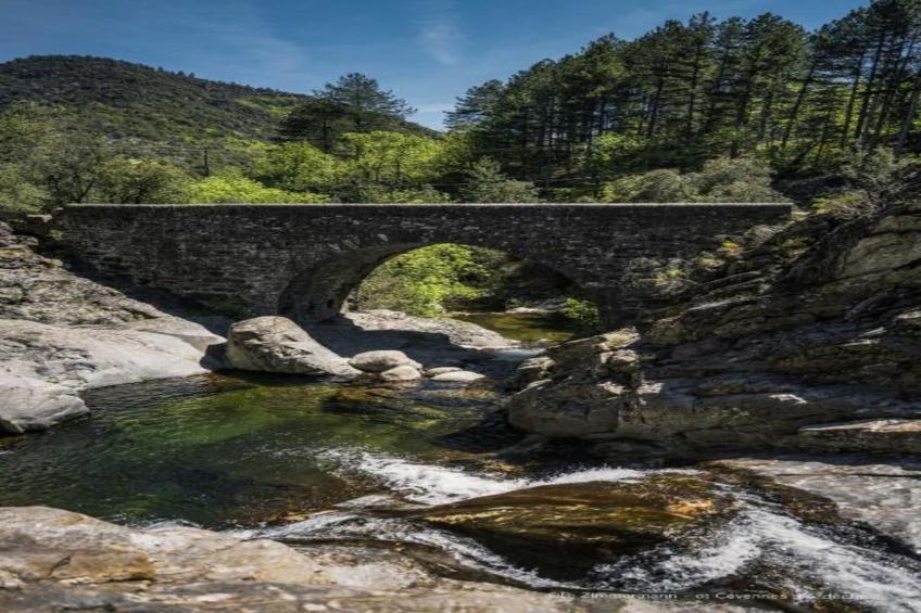 APPARTEMENT LES BROUSSES/LINDE - foto 36