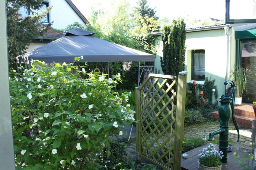 Spitzwegerich - foto 18