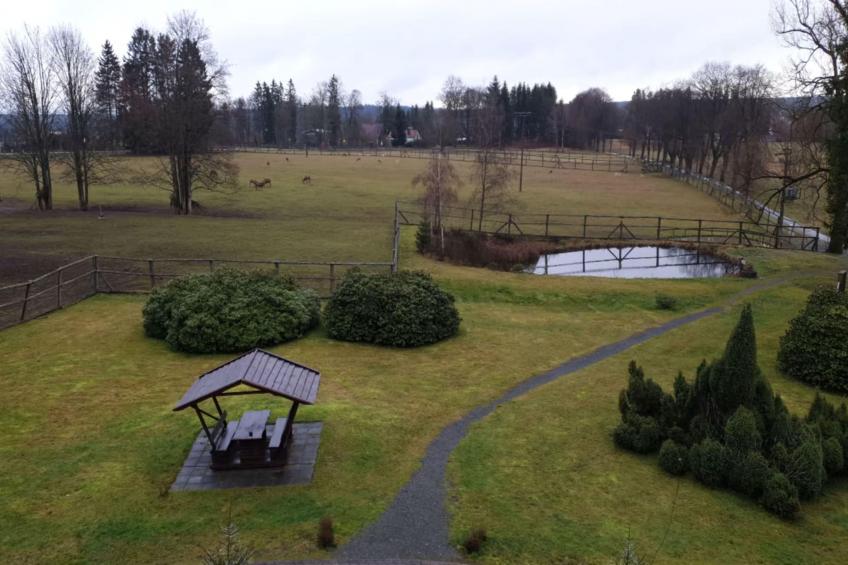 Hotel Harzhaus - Ferienhaus 1 - foto 39