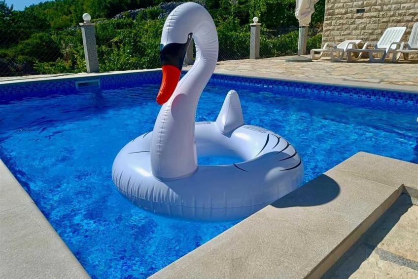 mit privatem Pool - foto 7