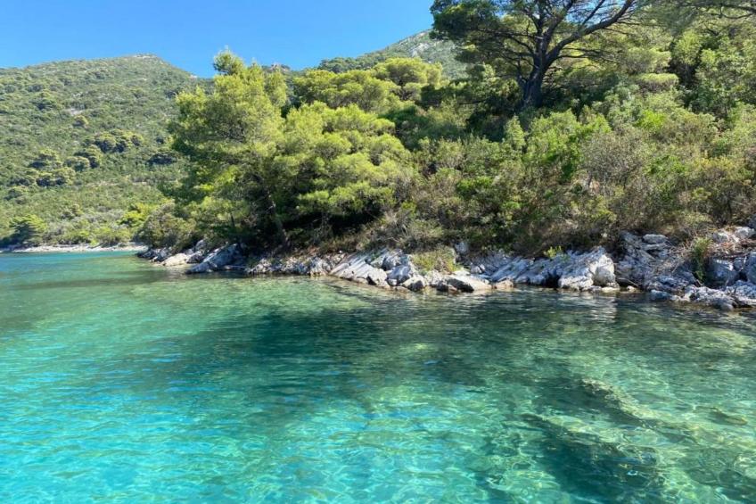 Apartments Franka Saplunara-Triple Room with Terrace and Sea View  No1 - foto 16