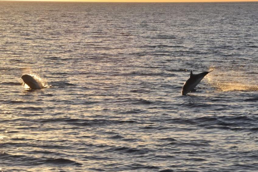 180118 - foto 19