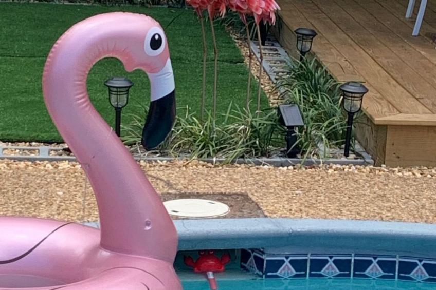 2BR - 2 bath Beheizter Pool- Familien-Haustierfreundlicher Spaß - foto 31