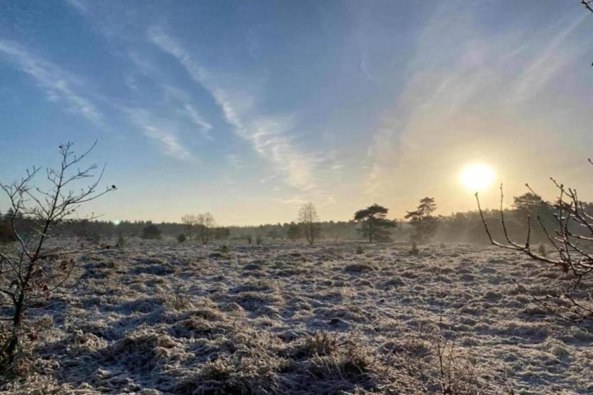 Heivlinder 4p - foto 33