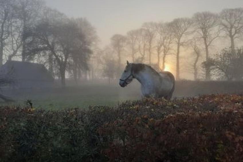 Neues normannisches Ferienhaus mit Charme die Kastanienbäume - foto 18
