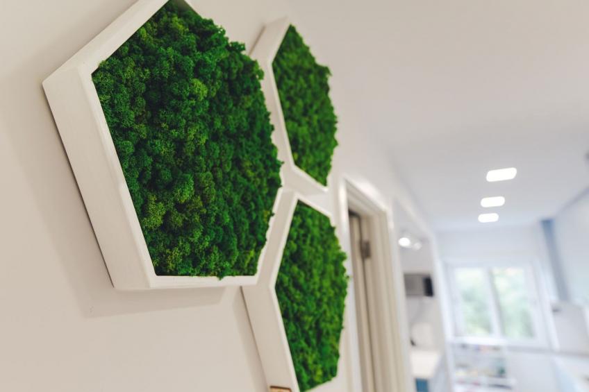 "Haus Beach Waves" - foto 15