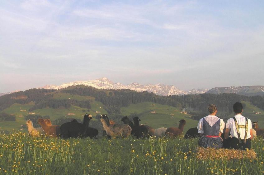 Alpakahof Ferien - foto 21