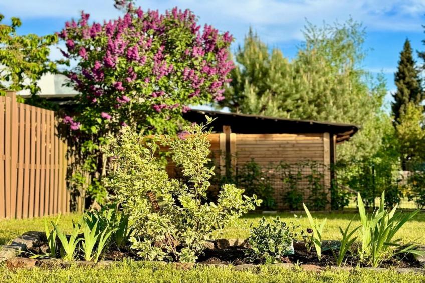 Ferienhaus Havelzeit - foto 22