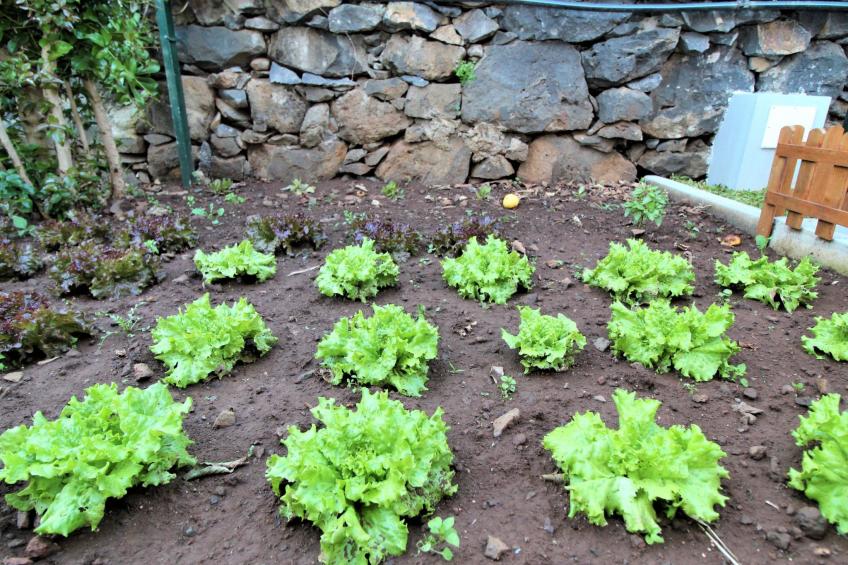 "Villa Azinhaga" mit Waschmaschine - foto 14