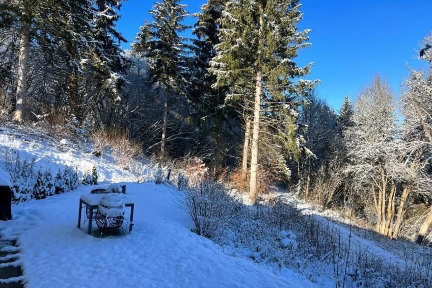 Fewo Am Sommerberg - foto 21