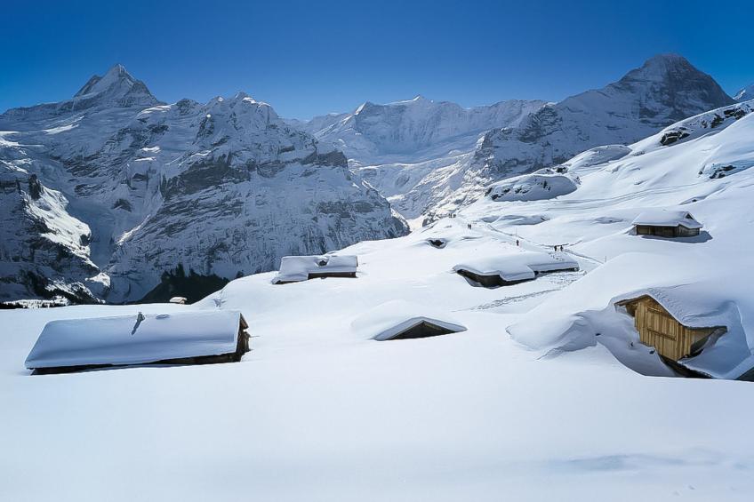 Eiger - foto 28