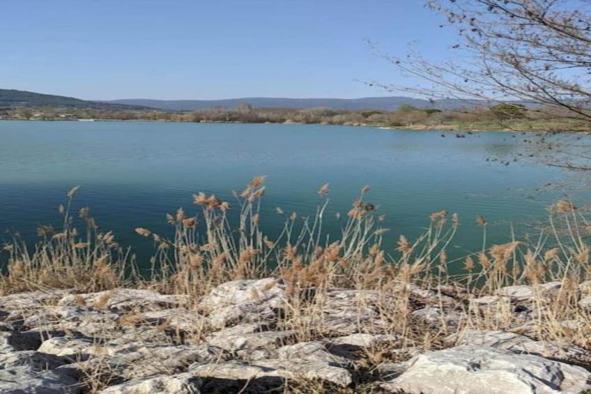 la petite Colline - foto 35