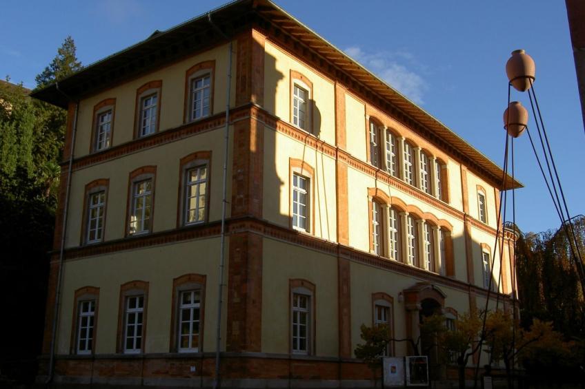 Monterosa in Baden-Baden - foto 25