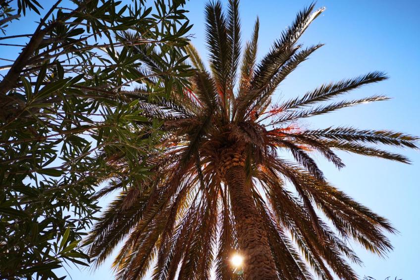 La Perla 8 - foto 33