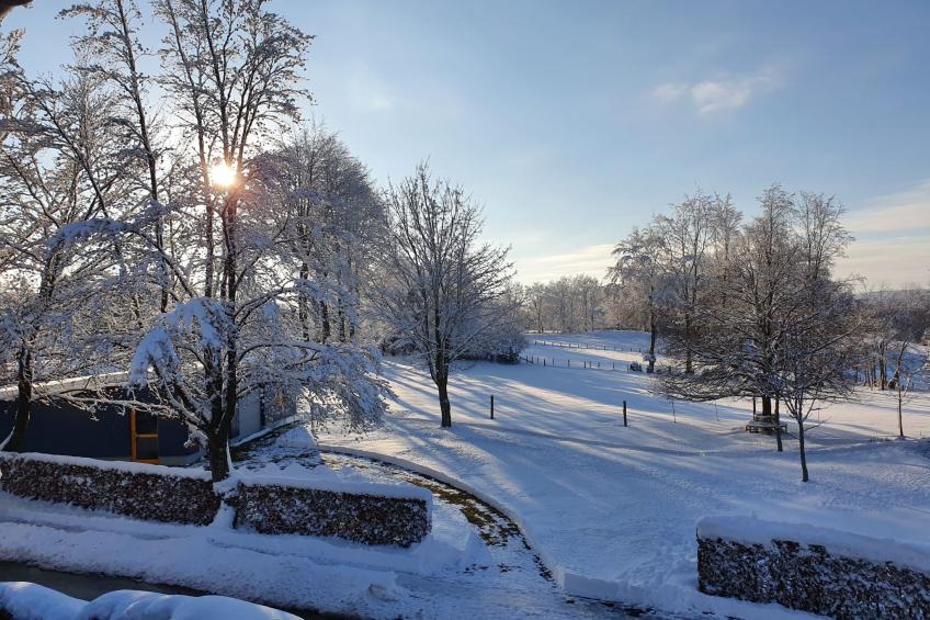 Eifel Oase - foto 25