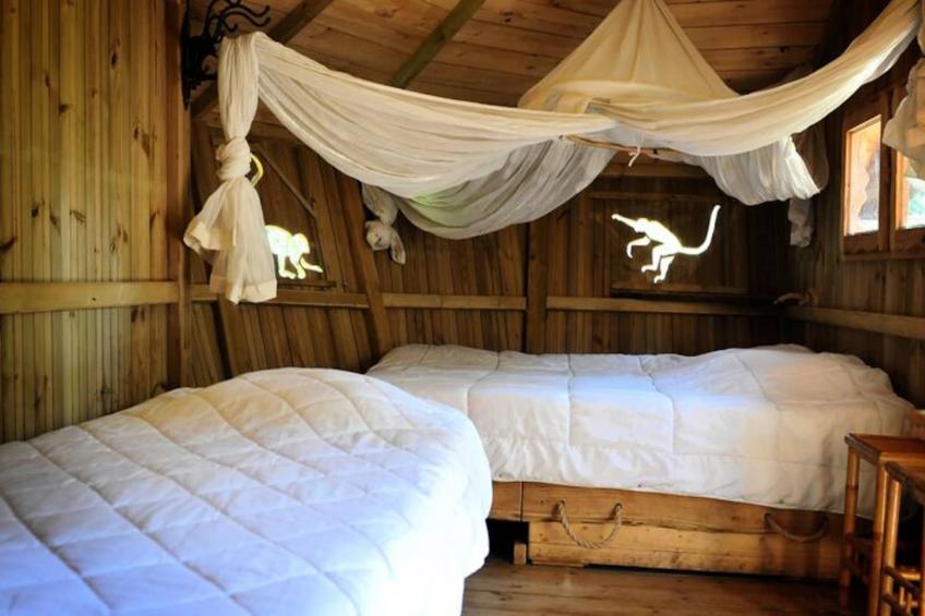 Parc de la Belle - foto 15