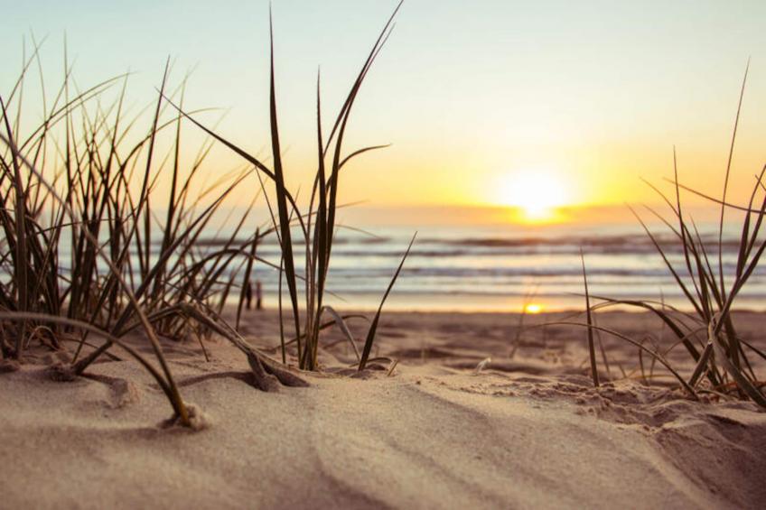 Maison à Saint-Gilles-Croix-de-Vie - foto 21