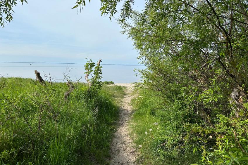 Ferienbungalow Lais - Seite 1 - foto 15