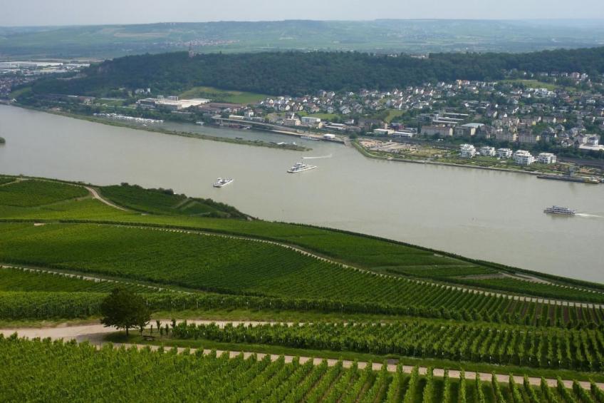 Appartement mit Terrasse, Garten und Grill - foto 39