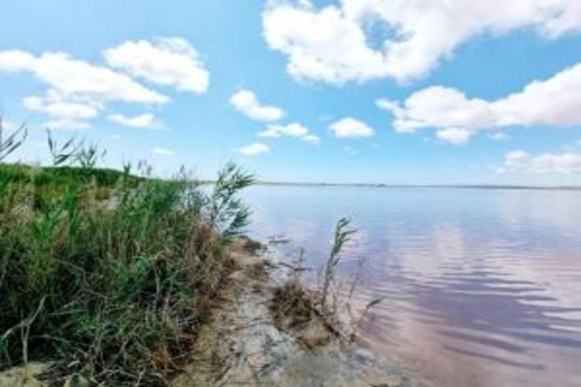 Villa Betty's - foto 35