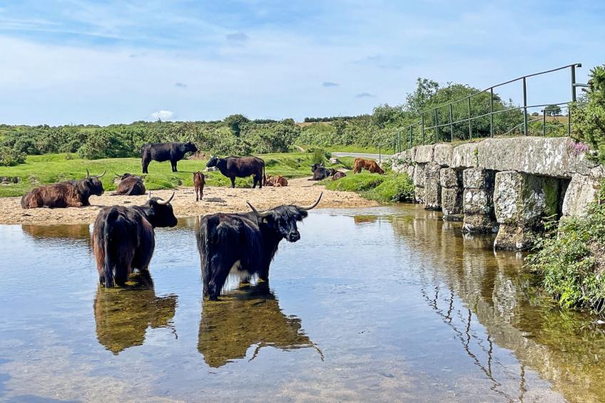 Stable Barn Apartment at Bodmin Moor - foto 7