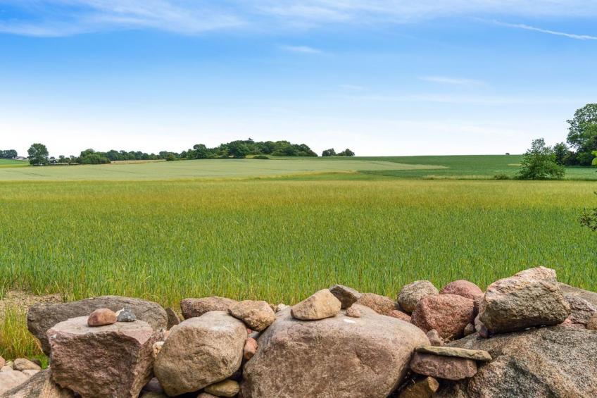 "Helmer" - 3km from the sea in Bornholm - foto 15