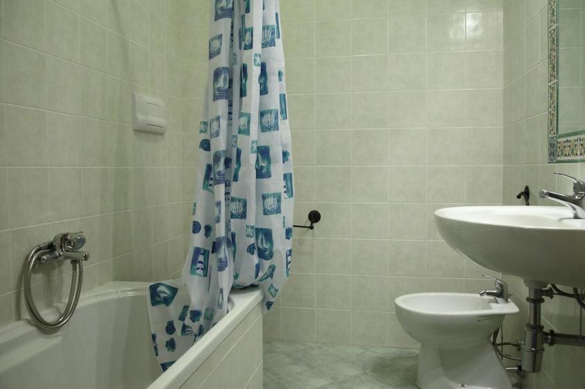 Flache Zeder - foto 10