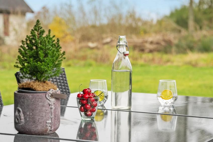 "Tindra" - 30m to the inlet in Western Jutland - foto 6